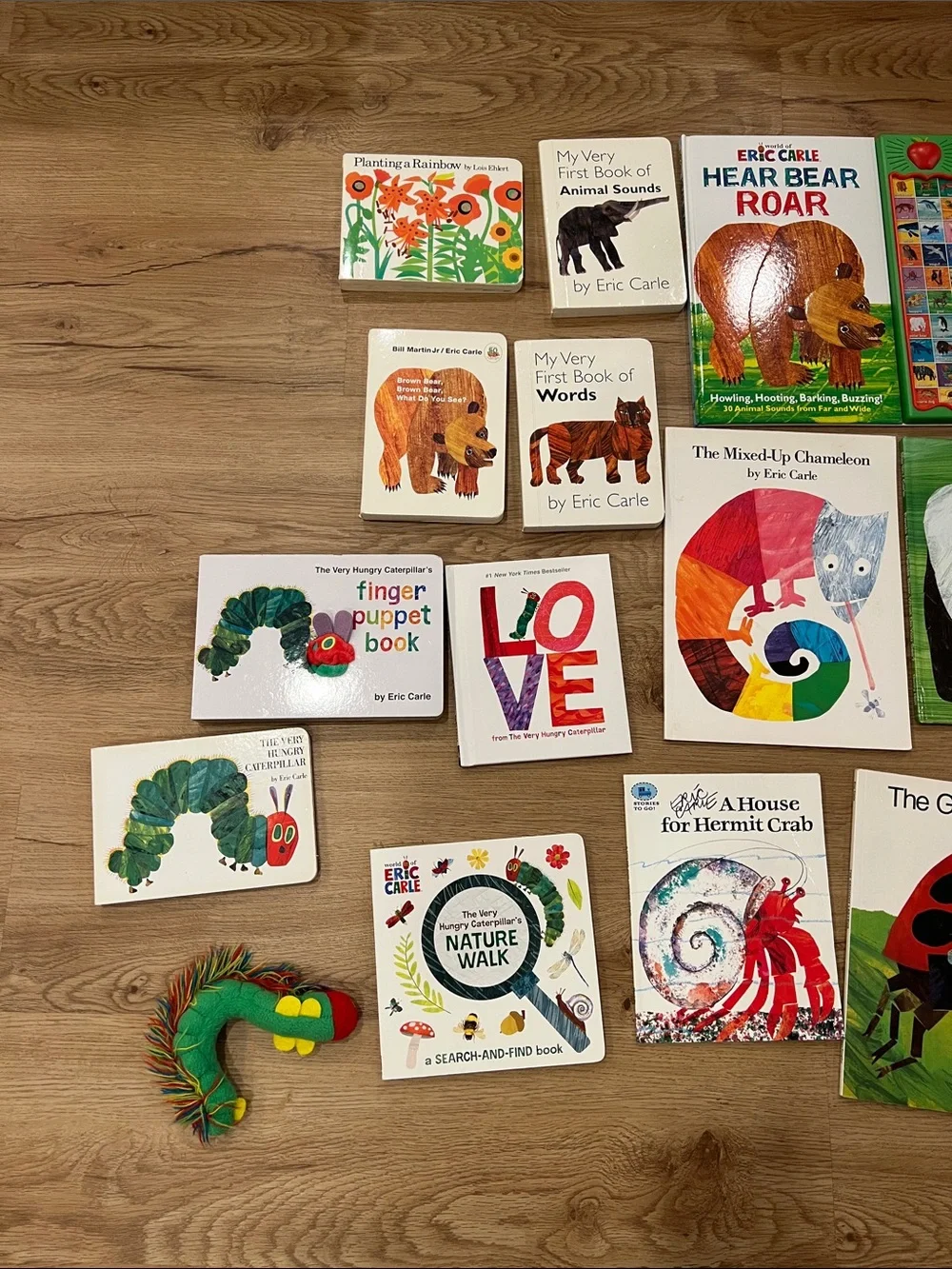 Colorful Educational Animal Board Books Set - Green/Multicolor